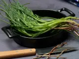 Mazzo di agretti freschi con radici, pronti per essere cotti in padella. Un coltello è appoggiato accanto.