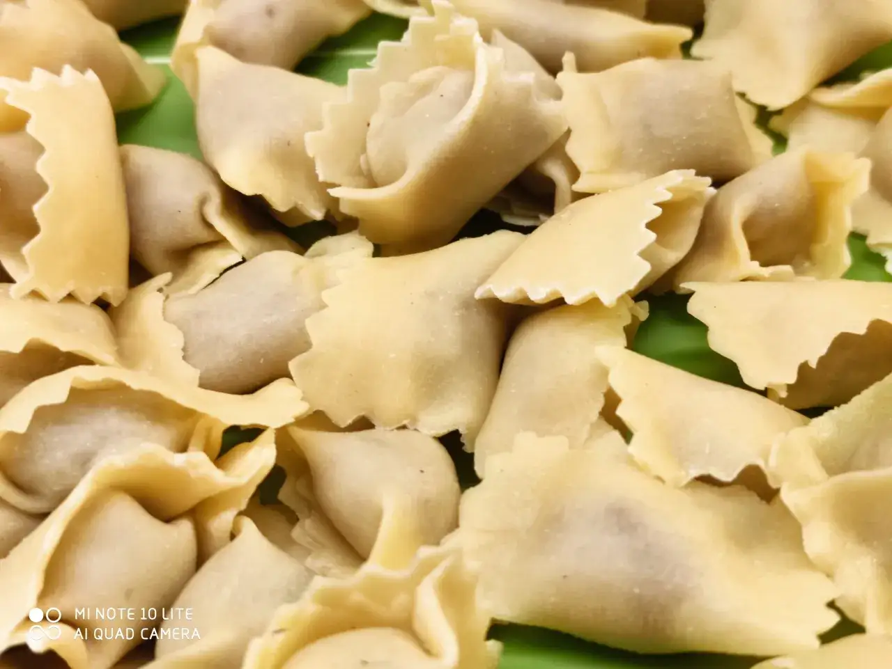 Un primo piatto di ravioli del plin, piccoli e gustosi, pronti per essere cucinati su un piatto verde.